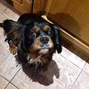 Lucy2.jpg