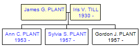 Mini tree diagram