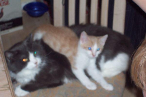 Click to view full size image