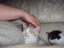 100_0363.jpg