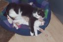 100_0433.jpg