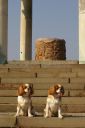 IMGP5294.JPG