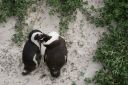 DSC01636.JPG