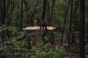 DSC02074.JPG