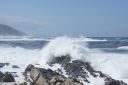 DSC02162.JPG