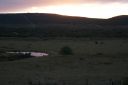 DSC02367.JPG