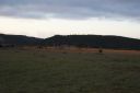 DSC02370.JPG