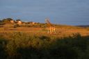 DSC02373.JPG