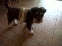 IMG00044-20110522-0847.jpg