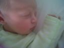 img00120.jpg