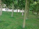 20140521_14543428029.jpg