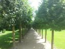 20140817_114659.jpg