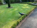 20140911_164135.jpg