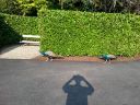 20140911_164212.jpg