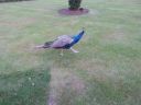 20140911_192811.jpg