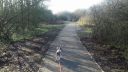 20170204_104112.jpg