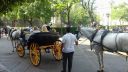 20170417_110434.jpg