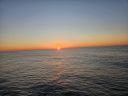 20260317_065429.jpg