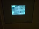 WE000392.jpg