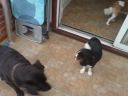 DSC00079.JPG