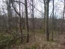 DSC00124.JPG