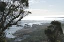 DSC01572.JPG