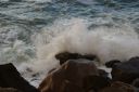 DSC01589.JPG