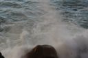 DSC01594.JPG