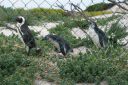 DSC01621.JPG