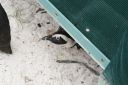 DSC01625.JPG