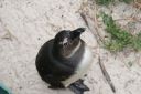 DSC01629.JPG