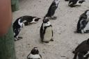 DSC01640.JPG