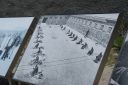 DSC01772.JPG