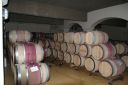 DSC01809.JPG