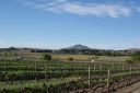 DSC01819.JPG