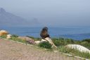DSC01854.JPG