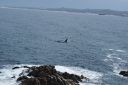 DSC01940.JPG