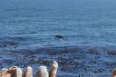 DSC01944.JPG