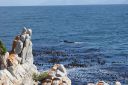 DSC01947.JPG
