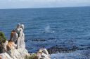 DSC01948.JPG