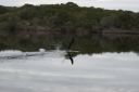 DSC02059.JPG