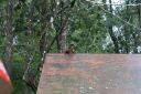 DSC02072.JPG