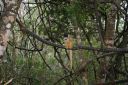 DSC02075.JPG