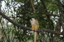 DSC02076.JPG