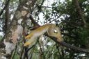DSC02077.JPG