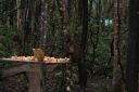 DSC02080.JPG