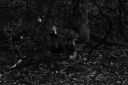 DSC02086.JPG