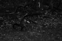 DSC02089.JPG