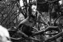 DSC02106.JPG