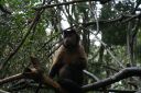 DSC02107.JPG
